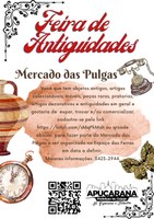 “Mercado das pulgas” de Apucarana deve atrair muita gente, aposta vereador que propôs a lei