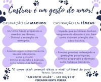 Agosto Lilás: Lei que conscientiza sobre a castração conscientização e combate ao câncer em animal já está em vigor 