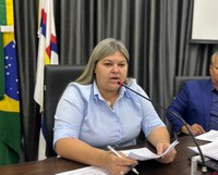 Após 20 anos, uma mulher volta ocupar vice-presidência da Câmara 