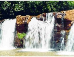 Câmara aprova o "Projetro Oásis"