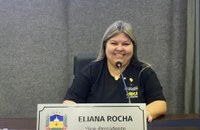 Câmara aprova parada segura no transporte coletivo para mulheres, idosos e pessoas com deficiência