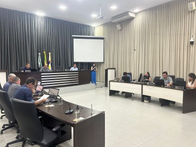 Câmara aprova requerimento sobre conclusão de obra do viaduto na Vila Reis