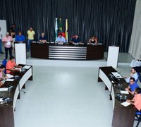 Câmara de Apucarana analisou 207 projetos de lei no ano de 2018