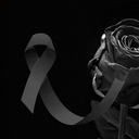 Câmara de Apucarana emite nota de pesar pelo falecimento de Tereza Yoshida 