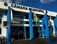 Câmara promove sessão totalmente online nesta terça (29)