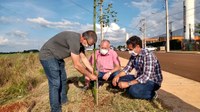 Na Semana Mundial do Meio Ambiente, Poim participa de plantio de árvores no Distrito de Pirapó