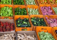 Vereadores analisam viabilidade para instalação de entreposto da Ceasa